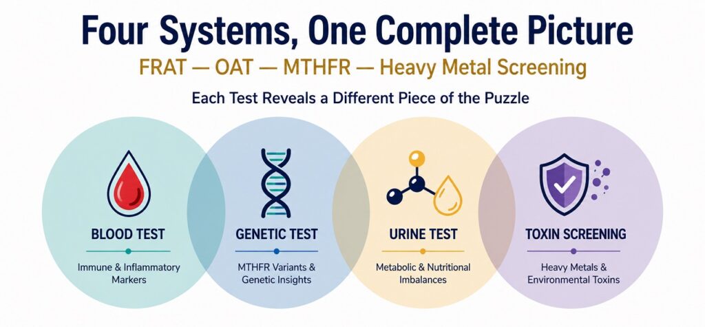 Four autism biomedical tests connection diagram — FRAT OAT MTHFR Heavy Metal Screening overlapping systems explained by Altus Lab India