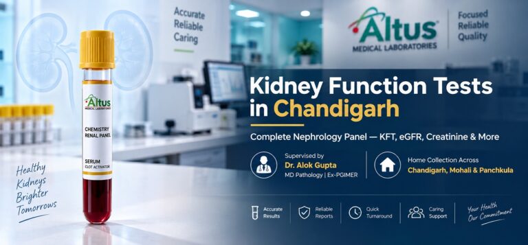 Kidney Function Tests in Chandigarh — Complete Nephrology Test Guide - Altus Lab Chandigarh