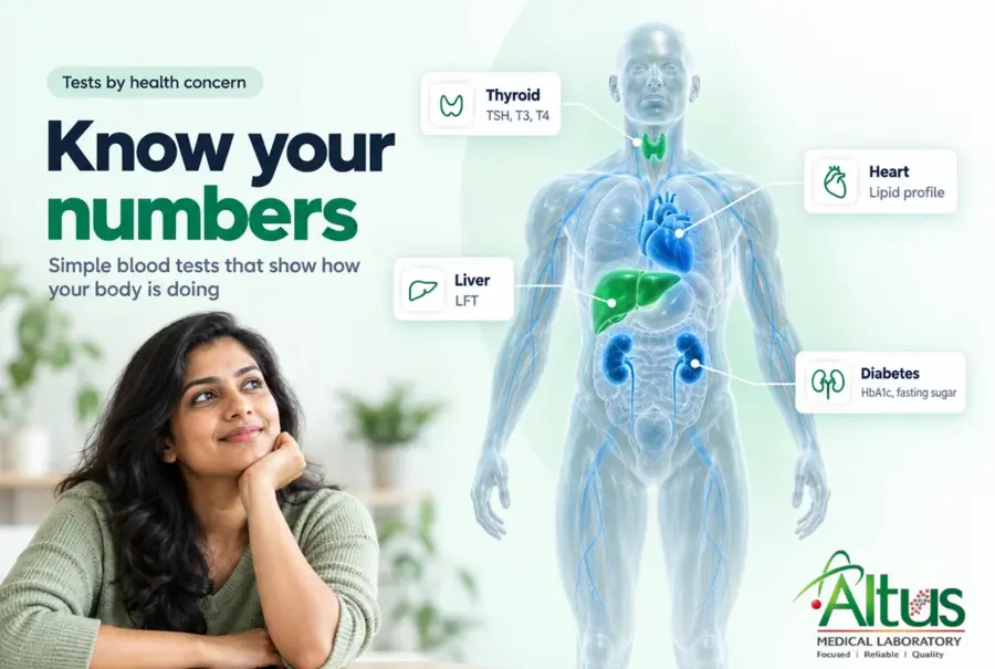 Illustration of the human body highlighting the thyroid, heart, liver and kidneys, with common blood tests for each